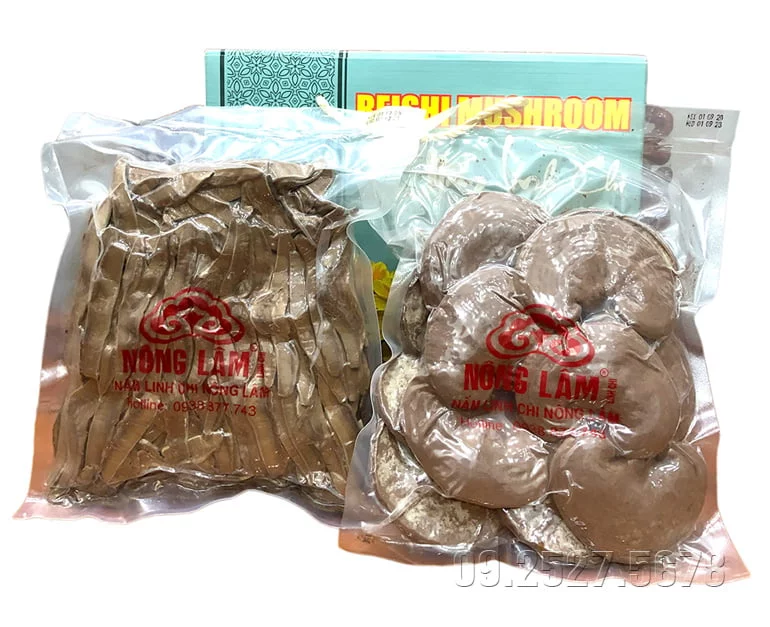 Linh chi nông lâm 01