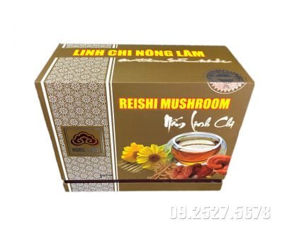 Nấm linh chi thượng hạng 4