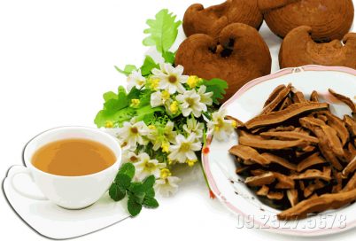 Cách sử dụng nấm linh chi